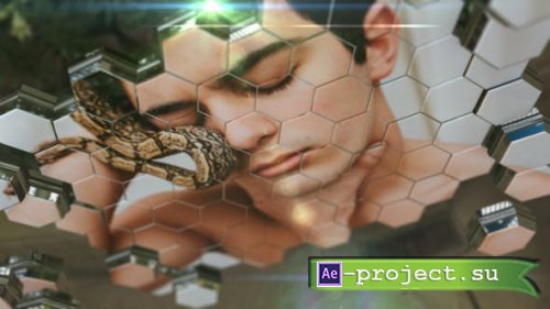 Videohive - Honeycomb Slideshow - 18709757 - Project for After Effects