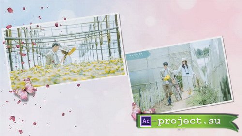  ProShow Producer - Love Blossom