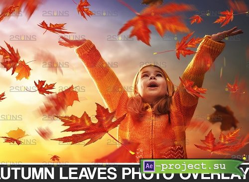 Autumn leaf overlay & Photoshop overlay Fall overlay - 895365