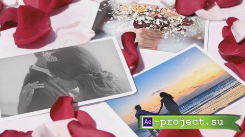  ProShow Producer - Wedding Roses