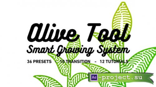 Videohive -  Alive Tool: Smart Growing System - 24396468 - Project for After Effects