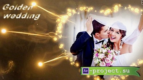 Golden particle light wedding photo 1258596 - Project for After Effects
