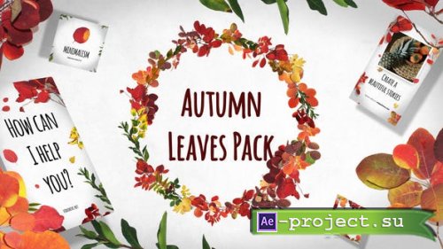 Videohive - Autumn Leaves Pack - 29195640 - Project for After Effects