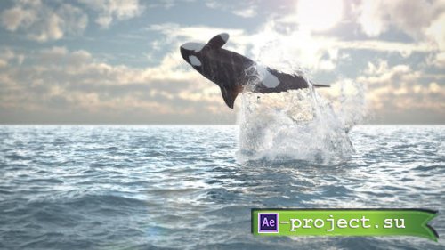 Videohive - Jumping Whale Logo Reveal - 21565667 - Project for After Effects