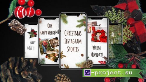 Videohive - Christmas Instagram Stories - 29480659 - Project for After Effects
