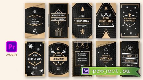 Videohive - Gold Christmas Instastory - 29683251- Premiere Pro Templates