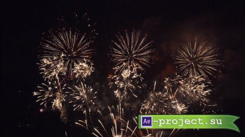 Videohive - Firework Celebration - 29129334 - Stock Footage