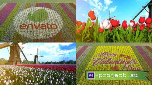 Videohive - Flower Field - 30180636 - Project for After Effects