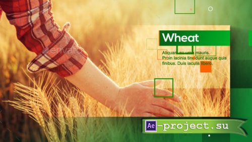 Videohive - Agrarian Vision - 28581167 - Project for After Effects