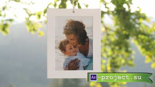 Videohive - Family Tree - Photo Gallery 4K - 22613411 - Project for After Effects