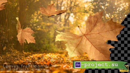 Videohive - Autumn Leaves Transitions - 17978836 - Motion Graphics