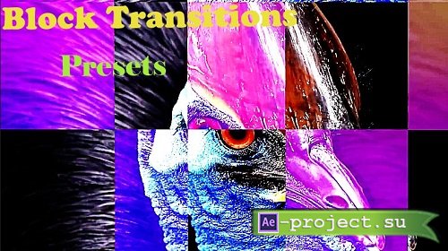 Block Transitions Presets 202244 - After Effects Presets