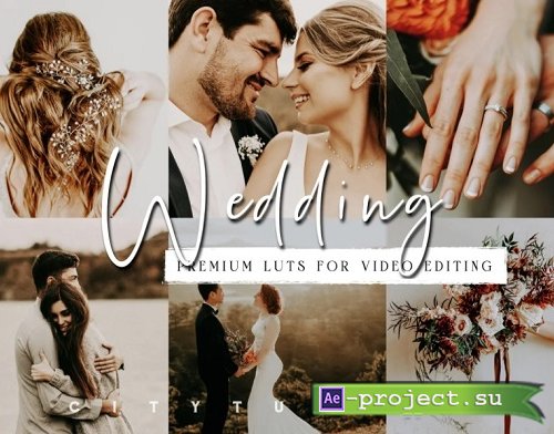 Moody Wedding LUTs for Video Editing 5954073