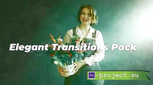 Elegant And Modern Transitions 781725 - Project for After Effects