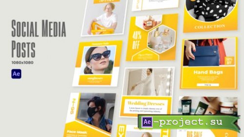 Videohive - Social Media Posts v2 - 31461252 - Project for After Effects
