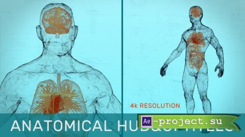 Videohive - Anatomical HUD&UI Titles - 31538280 - Project for After Effects