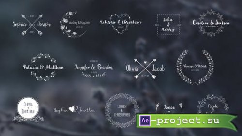 Videohive - Wedding Titles Pack - 28418047 - Project for After Effects