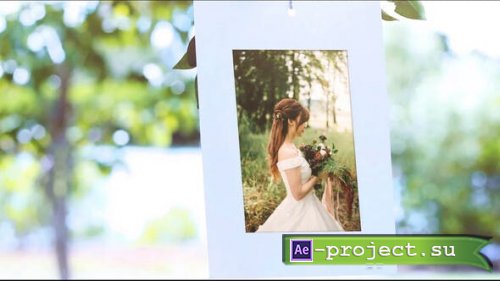 Videohive - Photo Gallery Under Tree - 31647671 - Project for After Effects