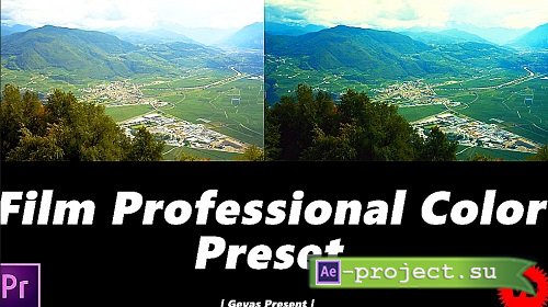 Film Professional Color V3 165399 - Premiere Pro Presets