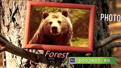 Professionally Designed Forest Slideshow - Premiere Pro Templates