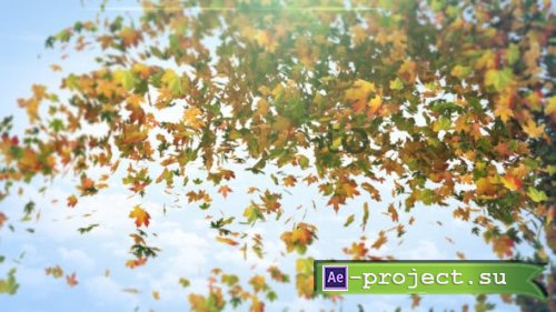Videohive - Flying Maples Logo Reveal - 19646448 - Project for After Effects