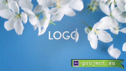 Videohive - Spring Flowers Opener 2 in 1 - 32064352 - Project for After Effects
