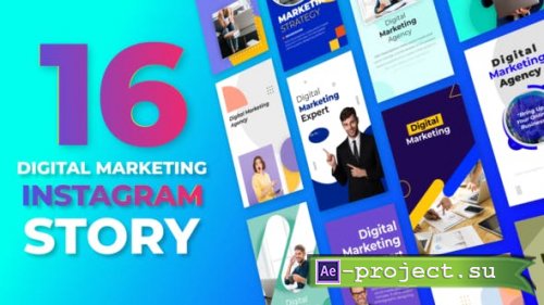 Videohive - Digital Marketing Agency Instagram Story - 32054443 - Project for After Effects