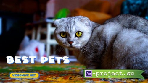 Videohive - Pets Slideshow - 31470611 - Project for After Effects