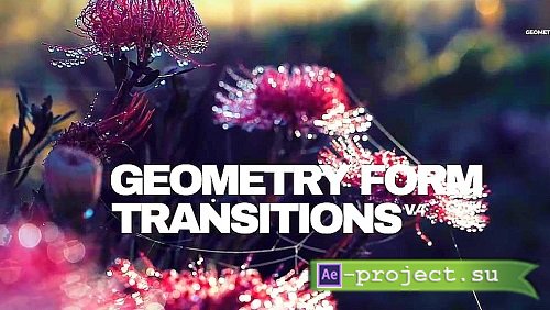 Geometry Form Transitions V.4 89 - Project for After Effects