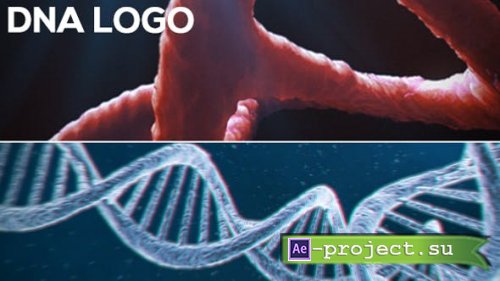 Videohive - DNA Logo (2-pack) - 13297571 - Project for After Effects
