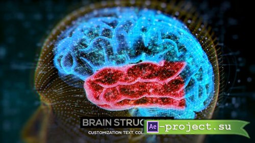 Videohive - Brain Structure (4-pack) - 24089741 - Project for After Effects
