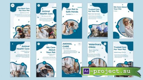 Videohive - Animal Health Care Instagram story - 32796963 - Project for After Effects