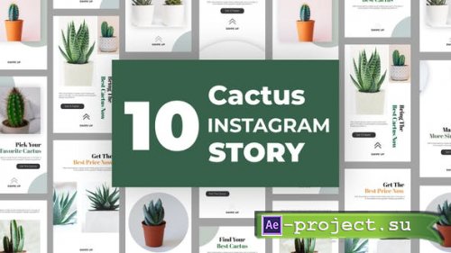 Videohive - Cactus Instagram Story Pack - 33211459 - Project for After Effects