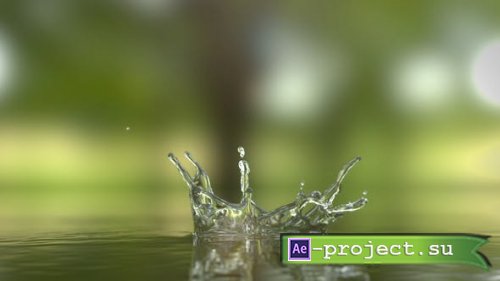 Videohive - Water Drop Logo Reveal - 26566618 - Project for After Effects