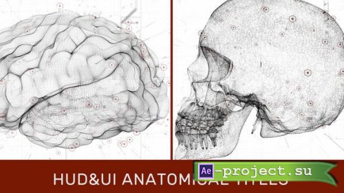 Videohive - HUD UI Anatomical Titles - 33042984 - Project for After Effects