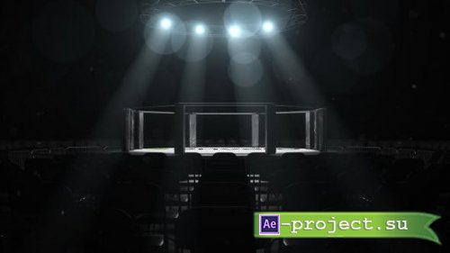 Videohive - MMA Logo Sting - 10231624 - Project for After Effects