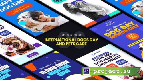 Videohive - International Dogs Day and Pets Care Instagram Stories - 33285007 - Project for After Effects