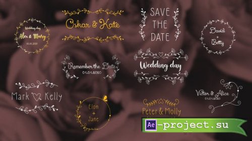 Videohive - Wedding Day Titles | After Effects - 33468015 - Project for After Effects