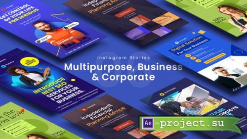 Videohive - Multipurpose, Business & Corporate Instagram Stories - 33566622