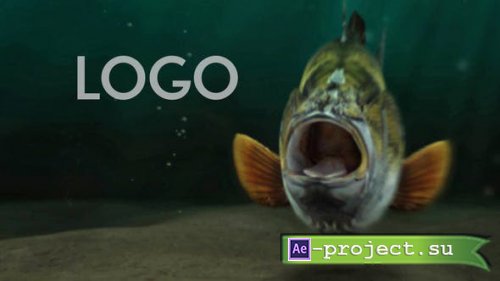 Videohive - Fishing Opener - 33600676 - Project for After Effects