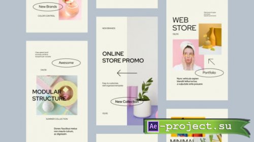Videohive - Online Shopping Store Instagram Stories - 33632413 - Project for After Effects