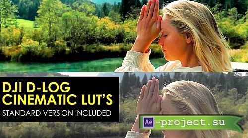 Cinematic DJI D-Log And Standard Luts 1008300 - After Effects Presets