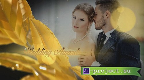  ProShow Producer - Wedding Awards