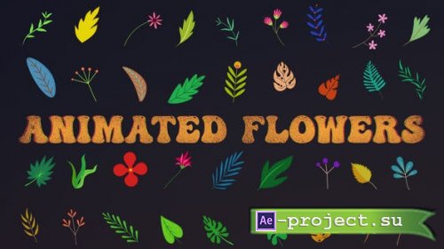 Videohive - Animated Flowers || After Effects - 33714560 - Project for After Effects