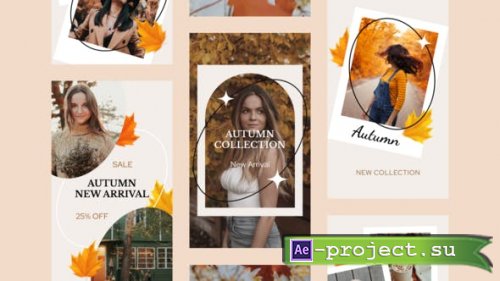 Videohive - Autumn Sale Instagram Stories - 33733681 - Project for After Effects