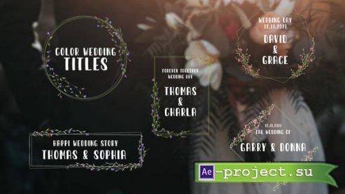 Videohive - Color Wedding Titles - 33791614 - Project for After Effects