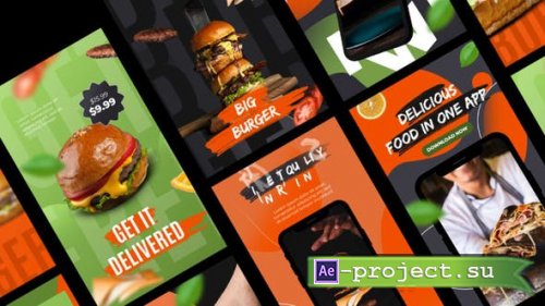 Videohive - Delivery Food Stories App Promo - 33840831 - Project for After Effects