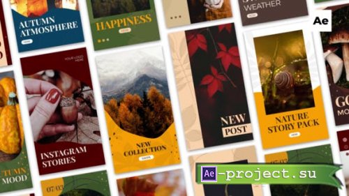 Videohive - Autumn Instagram Stories - 33899657 - Project for After Effects