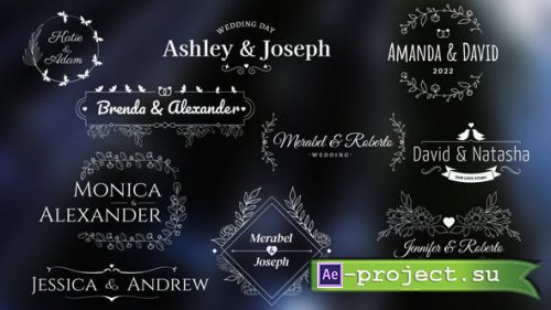 Videohive - Wedding/Romantic Titles - 34029074 - Project for After Effects