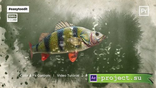 Videohive - Fish Logo Reveal Template - 34195788 - Project for After Effects